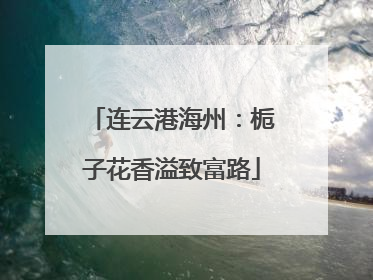 连云港海州：栀子花香溢致富路