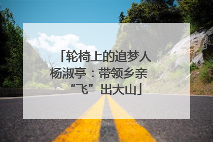 轮椅上的追梦人杨淑亭：带领乡亲“飞”出大山