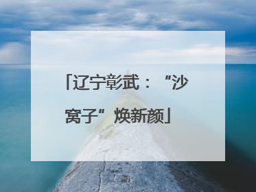 辽宁彰武：“沙窝子”焕新颜