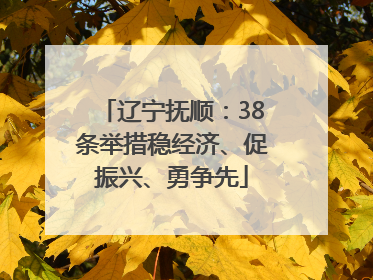 辽宁抚顺：38条举措稳经济、促振兴、勇争先
