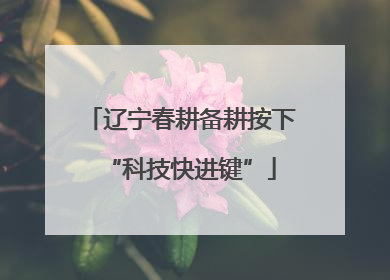 辽宁春耕备耕按下“科技快进键”