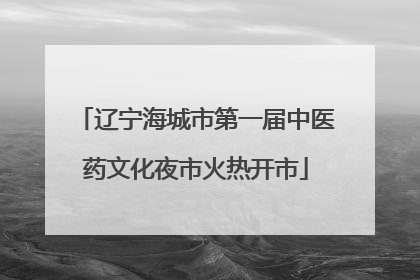 辽宁海城市第一届中医药文化夜市火热开市