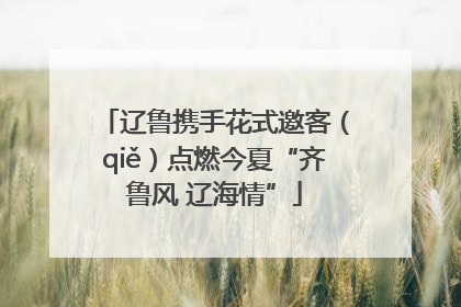 辽鲁携手花式邀客（qiě）点燃今夏“齐鲁风 辽海情”