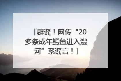 辟谣！网传“20多条成年鳄鱼进入澧河”系谣言！