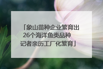 象山苗种企业繁育出26个海洋鱼类品种 记者亲历工厂化繁育