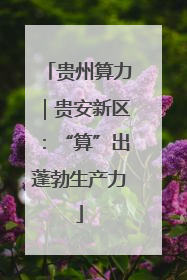 贵州算力｜贵安新区：“算”出蓬勃生产力