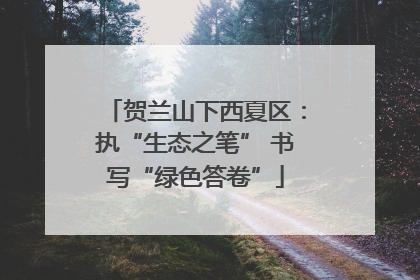 贺兰山下西夏区：执“生态之笔” 书写“绿色答卷”