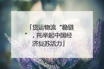 货运物流“稳链”，托举起中国经济复苏活力