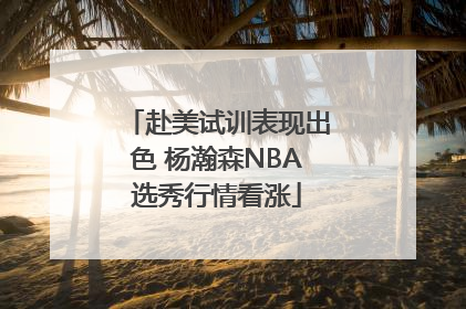 赴美试训表现出色 杨瀚森NBA选秀行情看涨