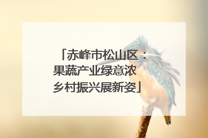 赤峰市松山区：果蔬产业绿意浓 乡村振兴展新姿