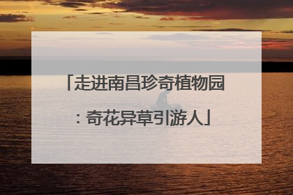 走进南昌珍奇植物园：奇花异草引游人