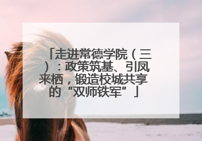 走进常德学院（三）：政策筑基、引凤来栖，锻造校城共享的“双师铁军”