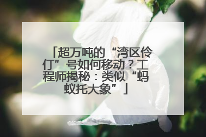 超万吨的“湾区伶仃”号如何移动？工程师揭秘：类似“蚂蚁托大象”