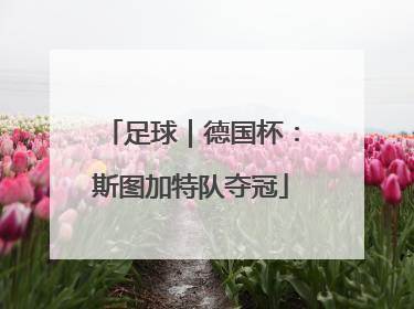 足球｜德国杯：斯图加特队夺冠