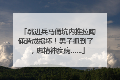 跳进兵马俑坑内推拉陶俑造成损坏！男子抓到了，患精神疾病……