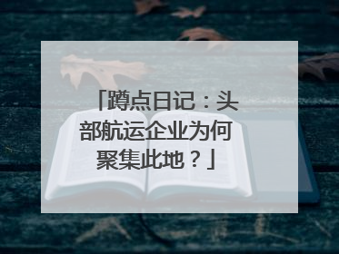 蹲点日记：头部航运企业为何聚集此地？