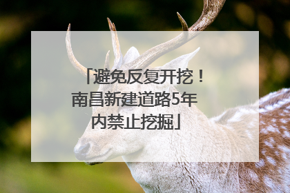 避免反复开挖！南昌新建道路5年内禁止挖掘