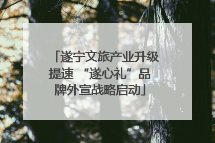 遂宁文旅产业升级提速 “遂心礼”品牌外宣战略启动