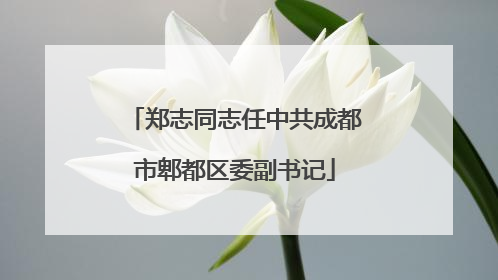 郑志同志任中共成都市郫都区委副书记