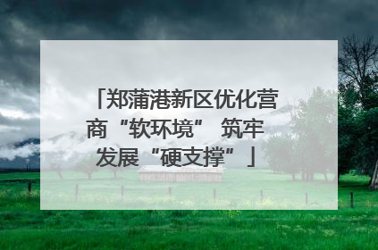 郑蒲港新区优化营商“软环境” 筑牢发展“硬支撑”