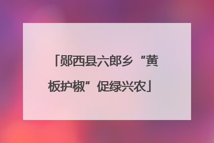 郧西县六郎乡“黄板护椒”促绿兴农