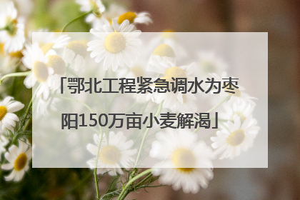鄂北工程紧急调水为枣阳150万亩小麦解渴