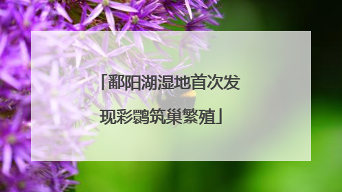 鄱阳湖湿地首次发现彩鹮筑巢繁殖