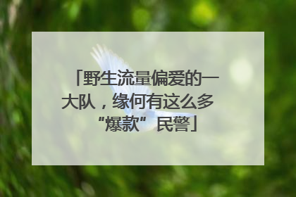 野生流量偏爱的一大队，缘何有这么多“爆款”民警