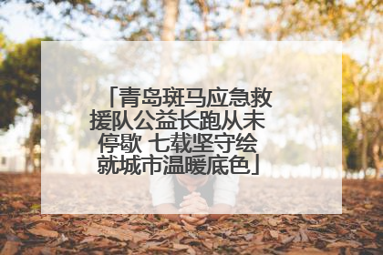 青岛斑马应急救援队公益长跑从未停歇 七载坚守绘就城市温暖底色