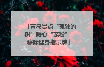 青岛景点“孤独的树”暖心“宠粉” 移除健身指示牌
