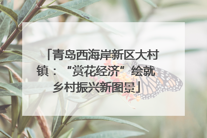 青岛西海岸新区大村镇：“赏花经济”绘就乡村振兴新图景