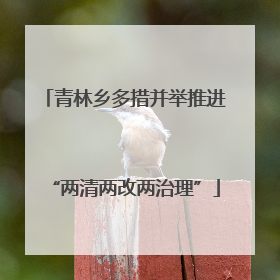 青林乡多措并举推进“两清两改两治理”