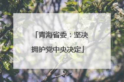 青海省委：坚决拥护党中央决定