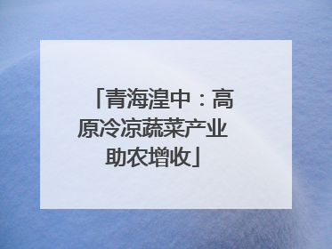 青海湟中：高原冷凉蔬菜产业助农增收