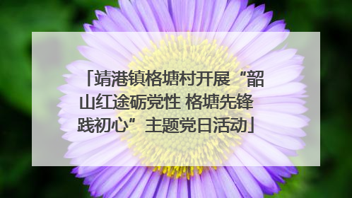靖港镇格塘村开展“韶山红途砺党性 格塘先锋践初心”主题党日活动
