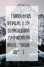 钢铁丝路好风光丨沙良物流园助力中欧班列跑出“加速度”