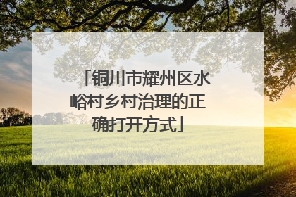 铜川市耀州区水峪村乡村治理的正确打开方式
