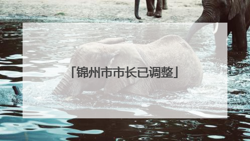 锦州市市长已调整