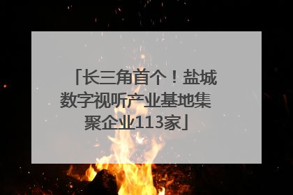 长三角首个！盐城数字视听产业基地集聚企业113家