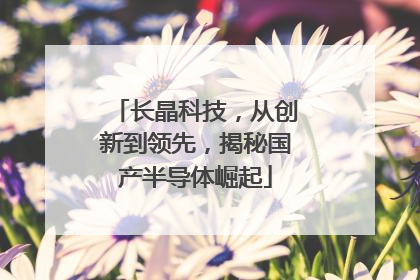 长晶科技，从创新到领先，揭秘国产半导体崛起