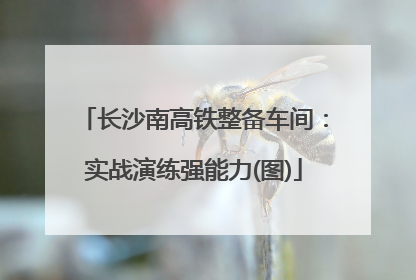 长沙南高铁整备车间：实战演练强能力(图)