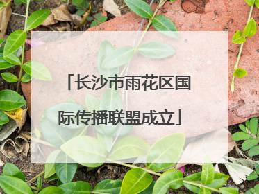 长沙市雨花区国际传播联盟成立