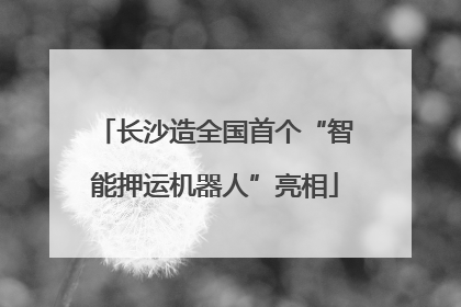 长沙造全国首个“智能押运机器人”亮相