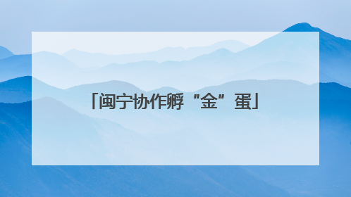 闽宁协作孵“金”蛋