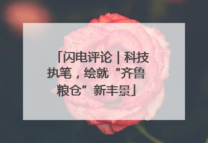 闪电评论｜科技执笔，绘就“齐鲁粮仓”新丰景