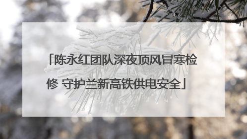 陈永红团队深夜顶风冒寒检修 守护兰新高铁供电安全