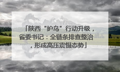 陕西“护鸟”行动升级，省委书记：全链条排查整治，形成高压震慑态势