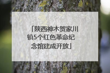 陕西神木贺家川镇5个红色革命纪念馆建成开放