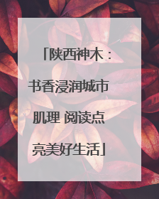 陕西神木：书香浸润城市肌理 阅读点亮美好生活