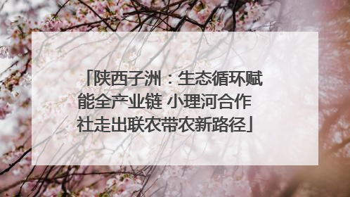 陕西子洲：生态循环赋能全产业链 小理河合作社走出联农带农新路径